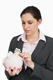 Brunette putting dollars into a piggy-bank