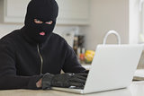 Burglar using laptop