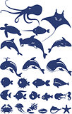 Vector collection of fish and sea animals