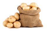 Ripe potato in burlap sack