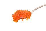 Red salted caviar with spoon