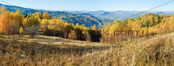 Autumn mountain forest panorama