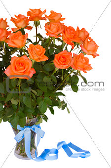 fresh orange  roses in vase