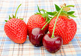 Ripe Sweet Cherries and Strawberries on the Checked Tablecloth