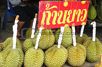 Durian fruits in Thailand 