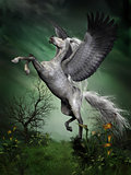 Dapple Grey Pegasus