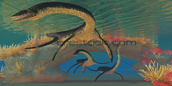 Plesiosaurus Sea