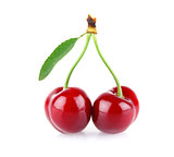ripe juicy cherry with green leaves