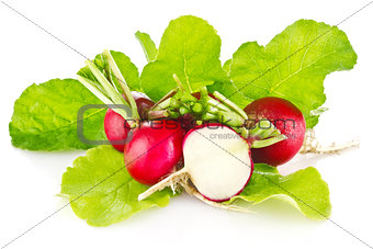 fresh juicy radish with green leaves