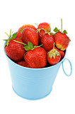 Strawberries in Blue Bucket