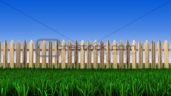wooden fence and green grass