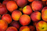 Fresh colorful peaches