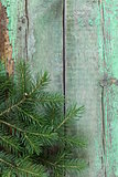 Christmas wooden background is green fir tree  branches