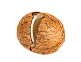 Coconut isolated on a white 