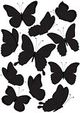 silhouette butterflies