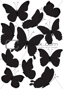 silhouette butterflies