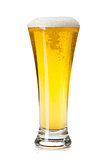 Lager beer glass