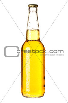 Lager beer in bottle