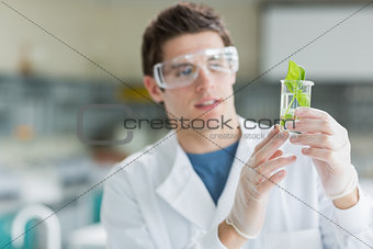 Student standing at the laboratory looking at the beaker
