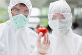Two students standing at the laboratory holding a tomato