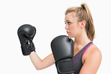 Female boxer in guard position