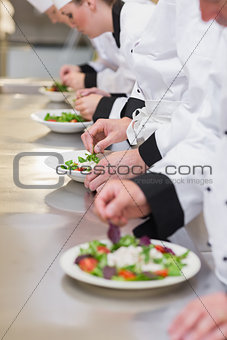 Chef's team garnishing salads