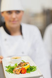 Chef showing plate of salmon dinner