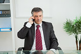 Businessman phoning in his office