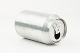 Metal empty can