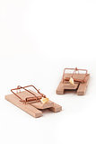 Two mousetraps with cheese