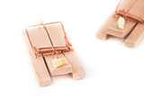 Pair of mousetraps