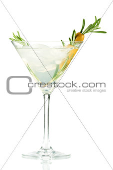 Martini alcohol cocktail