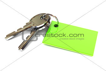 Keys with a Green Blank Keyring