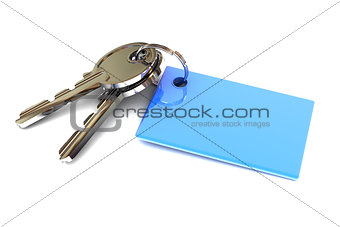 Keys with a Blank Blue Keyring