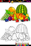 fruits group illustration for coloring book