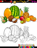 tropical fruits group for coloring book