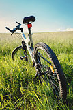 bike parked in a meadow