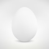 Realistic Isolated Egg. Vector Illustration