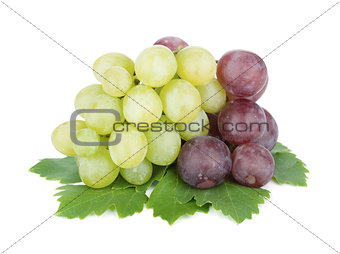 White and red grapes