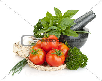 Ripe tomatoes and fresh herbs and spices in mortar