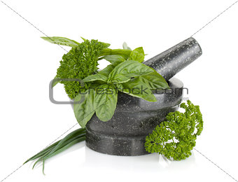 Fresh herbs and spices in mortar