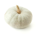 Small white pumpkin