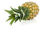 Fresh juicy pineapple