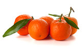 Five ripe tangerines