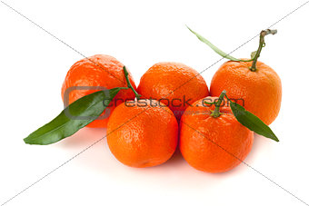Five ripe tangerines