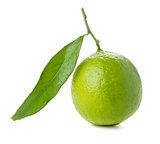 Fresh lime with green leaf