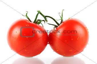 Two fresh tomatos