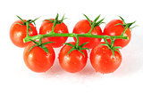 Fresh cherry tomatos