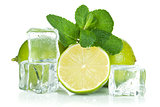 Fresh lime, mint and ice cubes