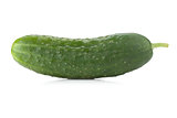 Fresh cucumber vegetable